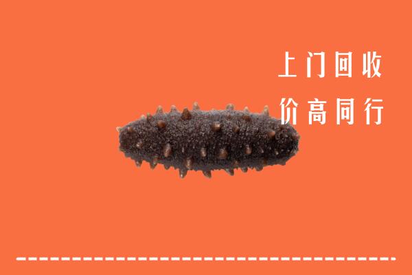 扶风县回收海参
